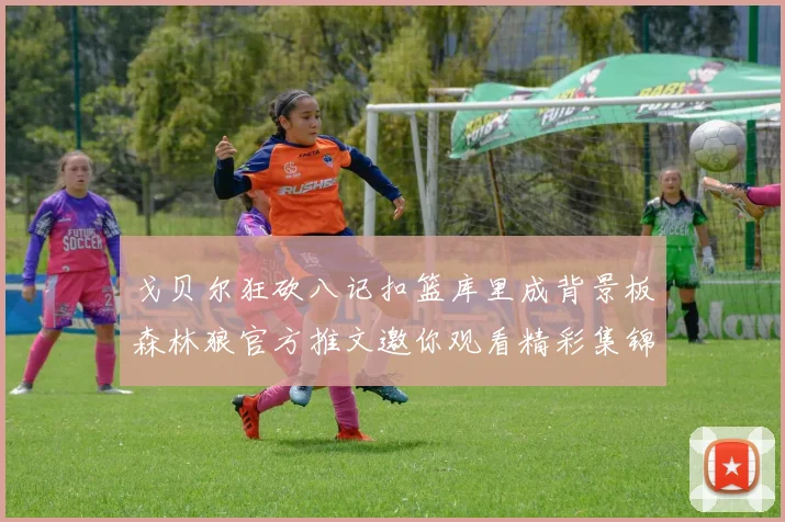 戈贝尔狂砍八记扣篮库里成背景板森林狼官方推文邀你观看精彩集锦