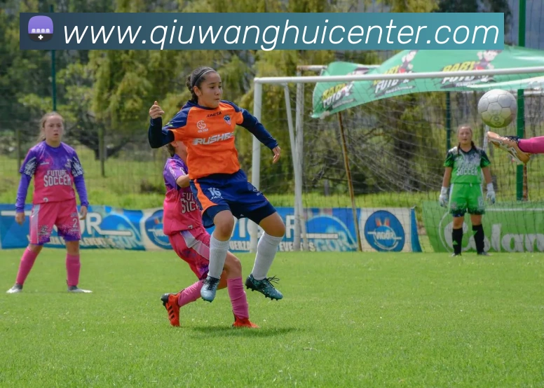 球王会平台生态图