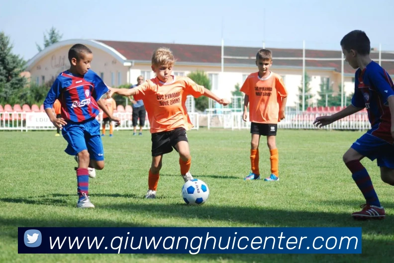 球王会APP 封面图